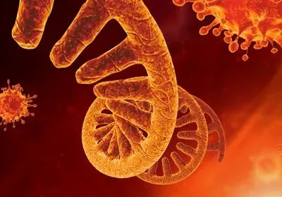 Image of the microscopic view of an infectious virus cell, RNA.